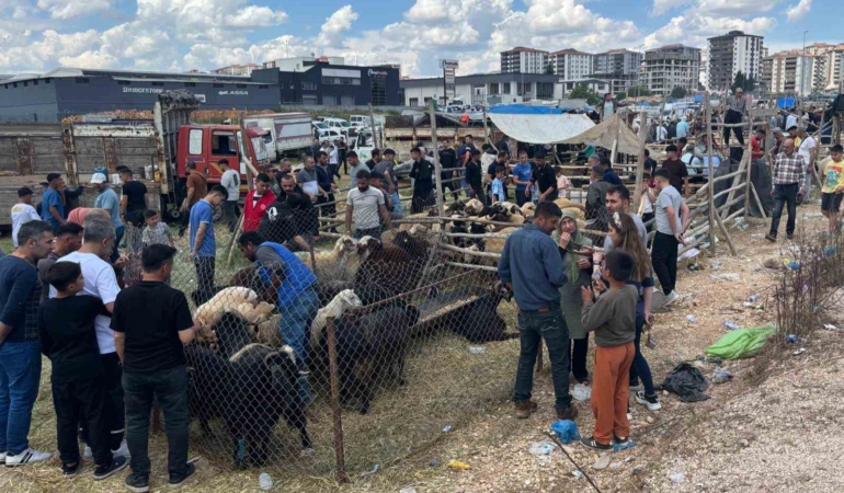 gaziantepteki-kurban-pazarlarinda-arefe-gunu-yogunlugu-zirveye-ulasti-Iiy3IGtS.jpg
