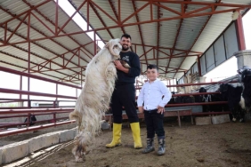 kurban-bayraminda-rekor-kiran-140-kiloluk-dev-keci-heyecani-MHZyj3DI.jpg