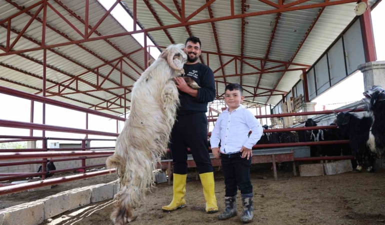 kurban-bayraminda-rekor-kiran-140-kiloluk-dev-keci-heyecani-MHZyj3DI.jpg