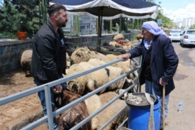 kurban-pazarinda-huzur-saticilarin-son-gun-heyecani-RITmJEWI.jpg