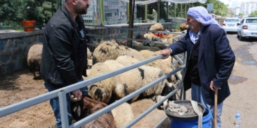 kurban-pazarinda-huzur-saticilarin-son-gun-heyecani-RITmJEWI.jpg