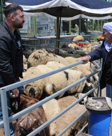 kurban-pazarinda-huzur-saticilarin-son-gun-heyecani-RITmJEWI.jpg