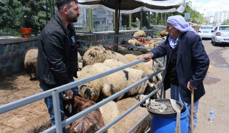 kurban-pazarinda-huzur-saticilarin-son-gun-heyecani-RITmJEWI.jpg