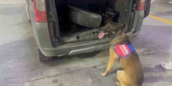 Narkotik Köpeği ‘Ayar’ ile Gizli Uyuşturucu Operasyonu