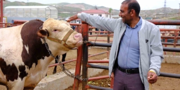 vanda-kurban-bayrami-icin-canli-hayvan-pazarinda-yogun-hareketlilik-rge8psU6.jpg
