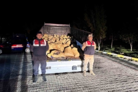 vanda-yasadisi-avlanan-800-kilo-balik-yakalandi-xJLw8MnK.jpg