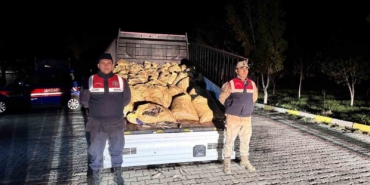 vanda-yasadisi-avlanan-800-kilo-balik-yakalandi-xJLw8MnK.jpg