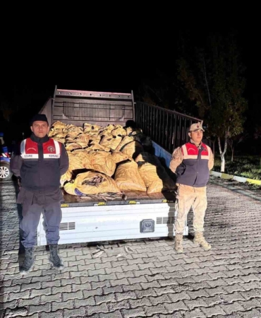 vanda-yasadisi-avlanan-800-kilo-balik-yakalandi-xJLw8MnK.jpg