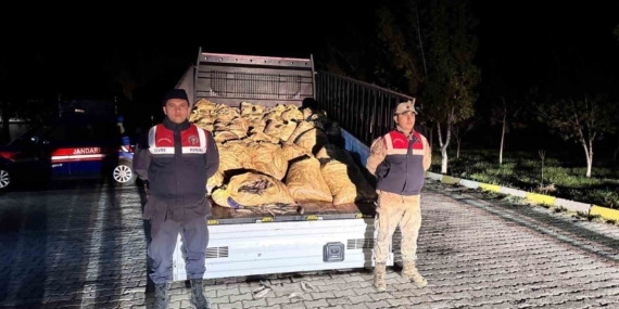 Van’da Yasadışı Avlanan 800 Kilo Balık Yakalandı