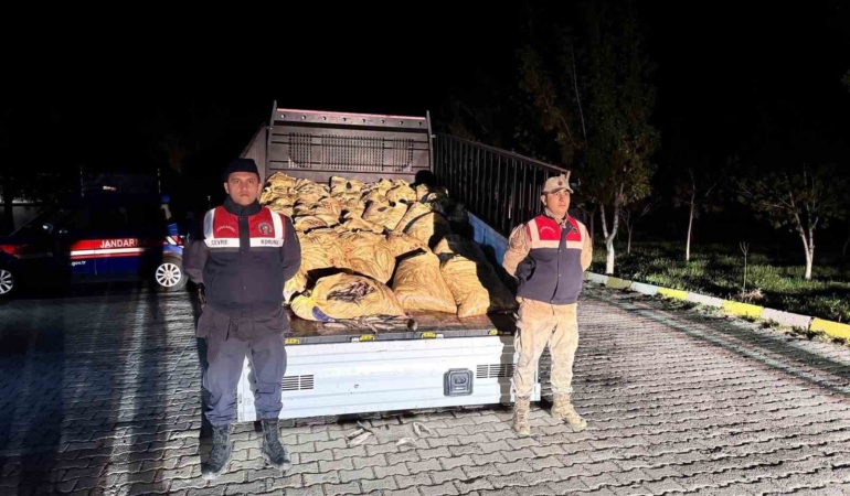 vanda-yasadisi-avlanan-800-kilo-balik-yakalandi-xJLw8MnK.jpg