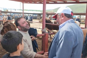 yilin-en-buyuk-kurban-pazarinda-hareketlilik-zirveye-ulasiyor-teVkdDNm.jpg