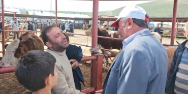 yilin-en-buyuk-kurban-pazarinda-hareketlilik-zirveye-ulasiyor-teVkdDNm.jpg