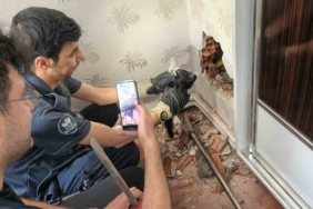 baca-boslugunda-mahsur-kalan-yavru-kedinin-kurtulus-hikayesi-7StTasJ1.jpg