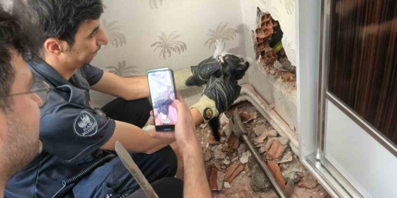 Baca Boşluğunda Mahsur Kalan Yavru Kedinin Kurtuluş Hikayesi