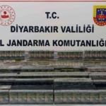 Diyarbakır'da Hapis Cezası Bulunan 149 Kişi Yakalandı thumbnail