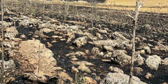 Diyarbakır’da Yüzlerce Dönüm Tarım Arazisi Yanarak Küle Döndü