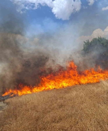 diyarbakirin-bes-ilcesinde-meydana-gelen-yangin-olaylari-pzdQUmU6.jpg
