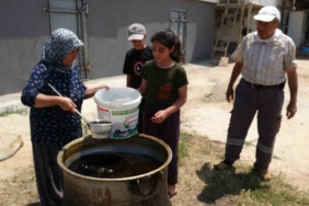 dut-bolulugunun-pekmez-uretimine-etkisi-OswPec4z.jpg