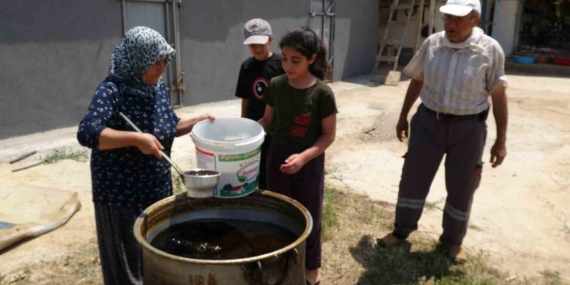 Dut Boluluğunun Pekmez Üretimine Etkisi