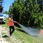 Elazığ'da Anne Sütü Destekleme Programı: Aileler İçin Yeni Fırsatlar thumbnail
