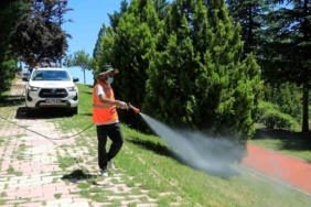 elazigda-kesintisiz-ilaclama-faaliyetleri-devam-ediyor-QzCUdgkL.jpg