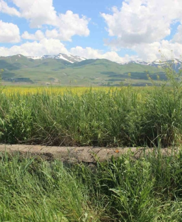 erzurum-ovasinda-149-yildir-nobet-tutan-93-harbinin-mechul-sehidi-y9Bs97eJ.jpg