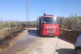 gaziantepte-zeytinlik-alanda-cikan-yangin-korkuttu-zIHNGgHz.jpg