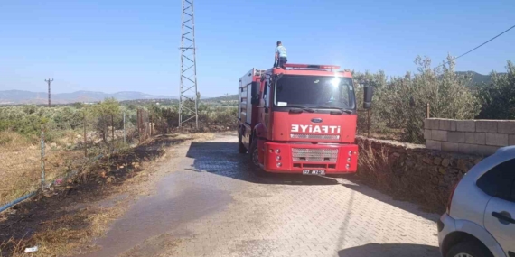 Gaziantep’te Zeytinlik Alanda Çıkan Yangın Korkuttu