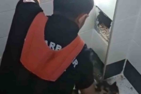 havalandirma-boslugunda-kalan-kediyi-kurtaran-itfaiye-eri-kahramanligi-OOMrdZLI.jpg