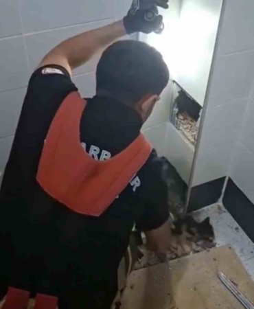 havalandirma-boslugunda-kalan-kediyi-kurtaran-itfaiye-eri-kahramanligi-OOMrdZLI.jpg