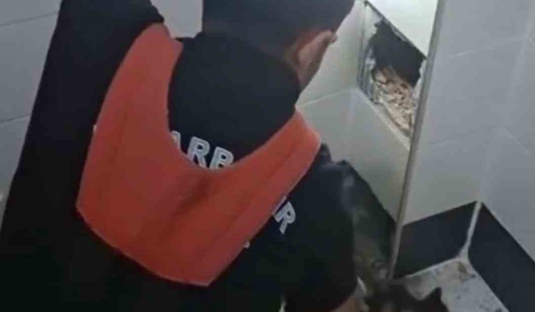 havalandirma-boslugunda-kalan-kediyi-kurtaran-itfaiye-eri-kahramanligi-OOMrdZLI.jpg