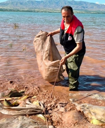 keban-baraj-golunden-700-kilogram-canli-sazan-kurtarildi-MCrM2pJl.jpg