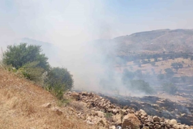 mardin-orman-yanginina-acil-mudahale-iletisimi-gwL9tzDU.jpg