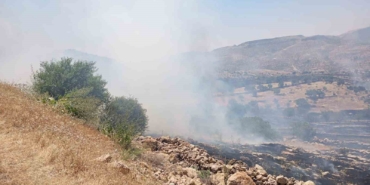 mardin-orman-yanginina-acil-mudahale-iletisimi-gwL9tzDU.jpg