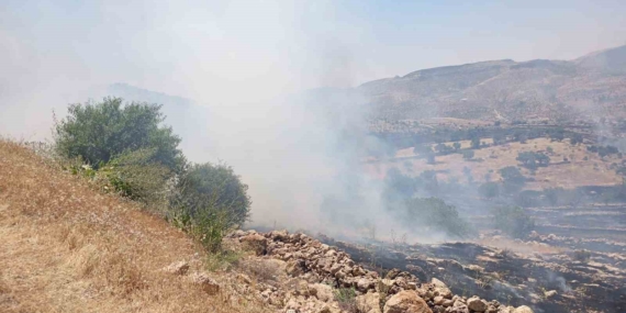Mardin Orman Yangınına Acil Müdahale İletişimi
