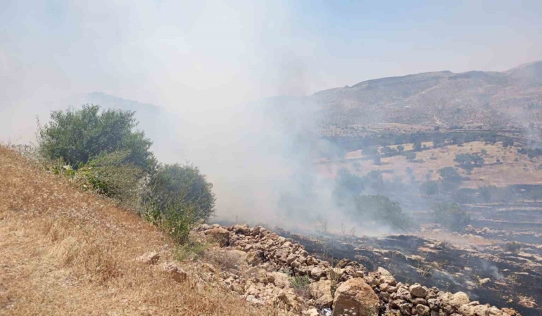 mardin-orman-yanginina-acil-mudahale-iletisimi-gwL9tzDU.jpg