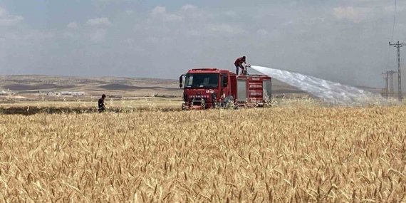 Mardin’de 300 Dönüm Tarım Alanı Alevler İçinde Kaldı