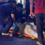 Gaziantep'te Yılan Paniği: Yerleşim Alanlarında Endişe Verici Durum thumbnail