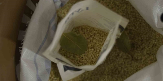 Pestisit İçermeyen Tescilli Karacadağ Pirinci: Yüksek Protein Değeri