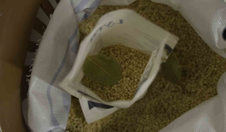 pestisit-icermeyen-tescilli-karacadag-pirinci-yuksek-protein-degeri-BEZC5fST.jpg