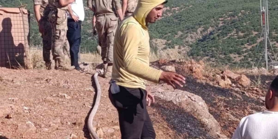 Siirt’te Ekiplerin Müdahalesiyle Yangın Kontrol Altına Alındı