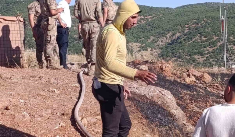 siirtte-ekiplerin-mudahalesiyle-yangin-kontrol-altina-alindi-eJG7HyZs.jpg