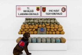 vanda-ele-gecirilen-291-kilogram-toz-esrar-sok-etti-IlwX7SA4.jpg