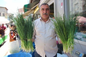 vanda-gec-erimeyle-uzayan-sifali-otlarin-tezgah-omru-9waV77NO.jpg