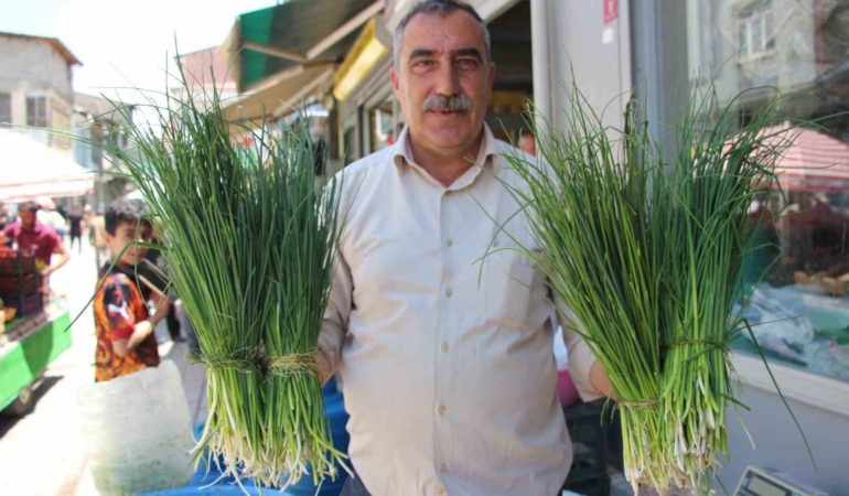 vanda-gec-erimeyle-uzayan-sifali-otlarin-tezgah-omru-9waV77NO.jpg