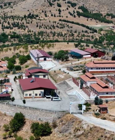 15-bin-sokak-hayvaninin-tedavi-edildigi-gecici-hayvan-bakimevi-ve-rehabilitasyon-merkezi-wYvAxlO3.jpg