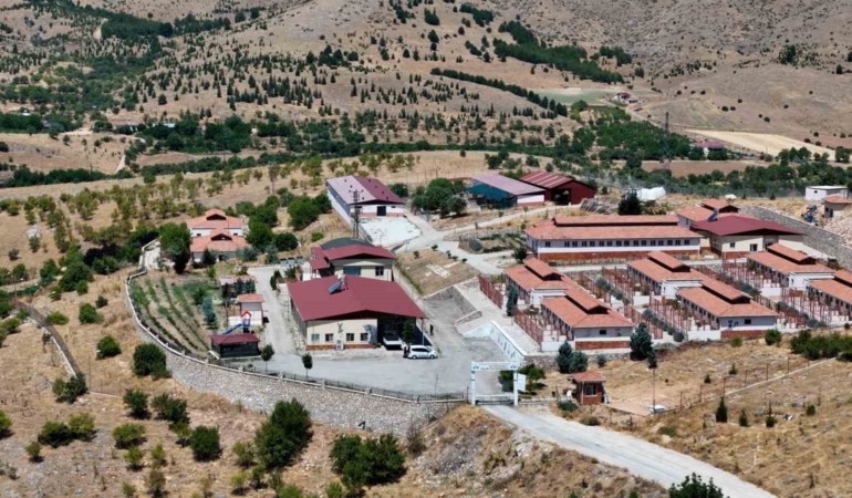 15-bin-sokak-hayvaninin-tedavi-edildigi-gecici-hayvan-bakimevi-ve-rehabilitasyon-merkezi-wYvAxlO3.jpg