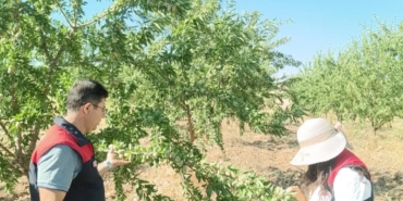 aginda-badem-bahceleri-icin-hastalik-ve-zararli-kontrolleri-q5gHuQmZ.jpg