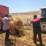 Elazığ Belediyesi'ne Ait İş Yeri, Arsa ve Konutlar Açık Artırmayla Satışa Çıkıyor thumbnail