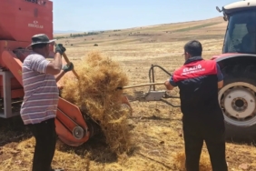 aginda-mercimek-tohumluklari-icin-hasat-kontrolleri-xHQDOObD.jpg